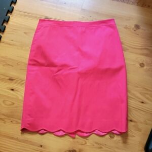 J.Crew  Skirt Size 10 NWT